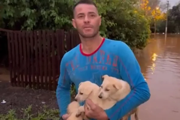 Homem salva filhotes de cachorro após ciclone extratropical no RS