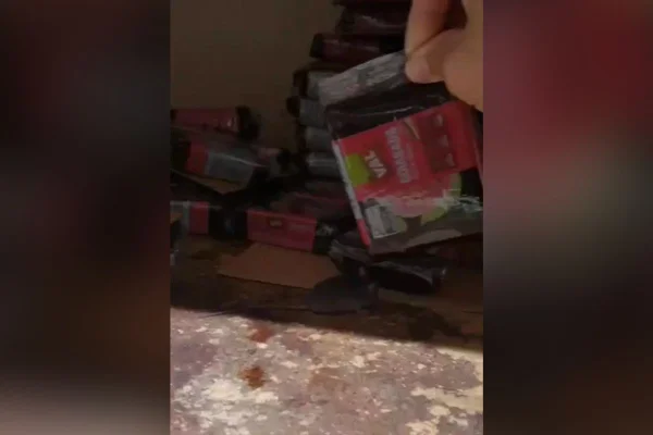 Imagem colorida mostra rato andando entre embalagens de goiabada em prateleira de supermercado - Metrópoles
