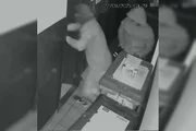 Os bandidos indo até o local onde o cofre estava