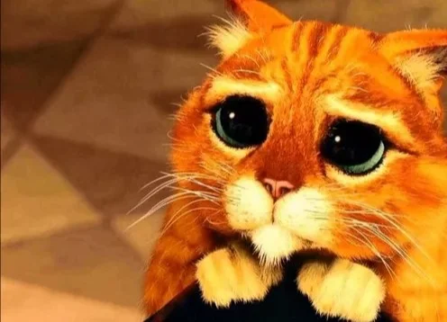 Gato de Botas 2 é sequência de Shrek? Entenda a ordem dos filmes - imagem 7 Gato de Botas 2 é sequência de Shrek? Entenda a ordem dos filmes - imagem 7