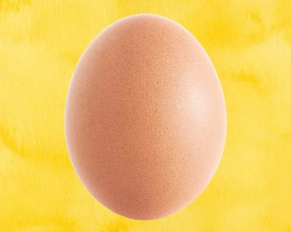 Chris Godfrey, o criador do World Record Egg , um post no Instagram que se tornou a imagem mais popular da plataforma em janeiro, também está entre os mais populares da Time Chris Godfrey, o criador do World Record Egg , um post no Instagram que se tornou a imagem mais popular da plataforma em janeiro, também está entre os mais populares da Time