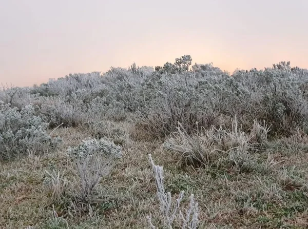 Interior gaúcho marca 0°C; Grande Porto Alegre registra frio de 5°C