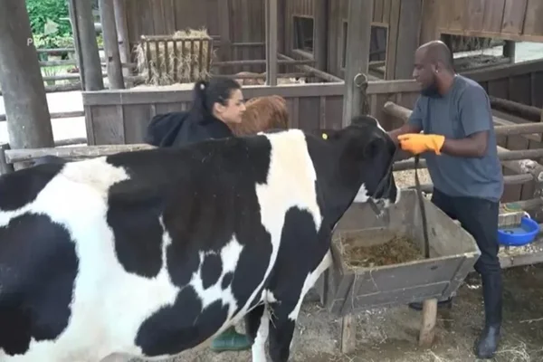 Bia Miranda, André e uma vaca em A Fazenda 14 - Metrópoles