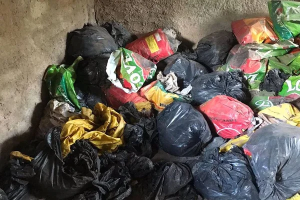 Restos mortais de animais em chácara de Brazlândia