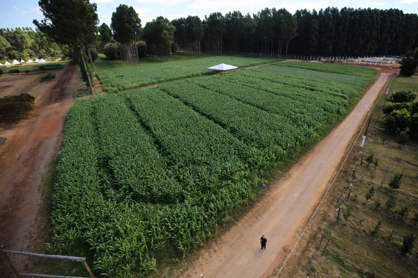 Brasília (DF), 17/05/2024 Começam os preparativos para a 15ª edição da tradicional feira do agronegócio do Centro-oeste, a AgroBrasília. O evento acontece entre os dias 21 e 25 de Maio, no PAD-DF. FOTO: BRENO ESAKI/METRÓPOLES @BrenoEsakiFoto