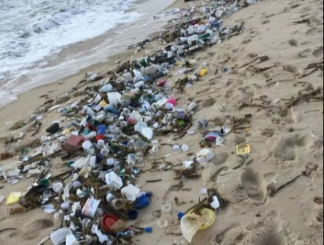 Até tubos com sangue: 1,5t de lixo foi recolhido de praias do RN