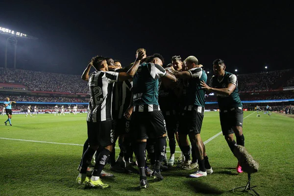 Jogadores do Botafogo comemorando gol no Morumbis