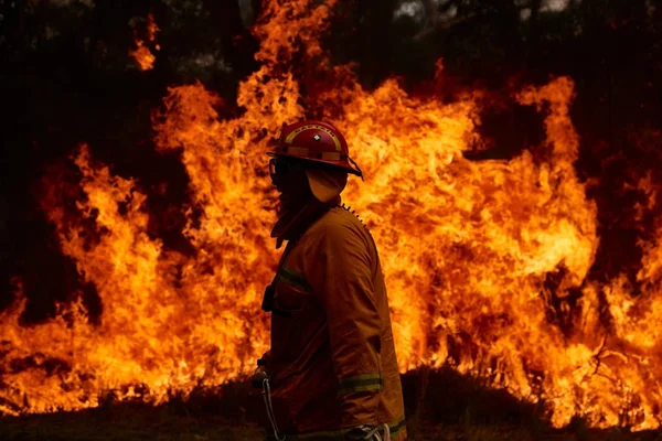 Mudanças climáticas são o principal risco global, aponta estudo