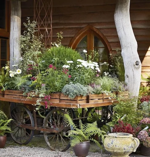 Um carrinho de mão se tornou um belíssimo viveiro de flores Um carrinho de mão se tornou um belíssimo viveiro de flores