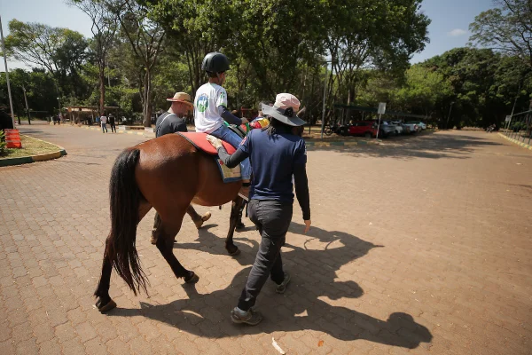 Equoterapia no IFB de Planaltina