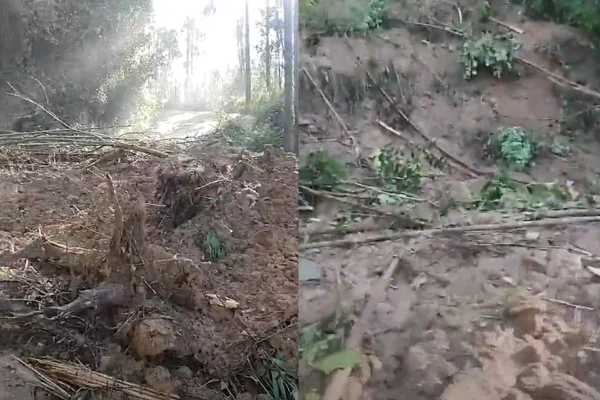 Imagem colorida de como ficou via em Salesópolis, no Alto Tietê, após deslizamento de terra. - Metrópoles