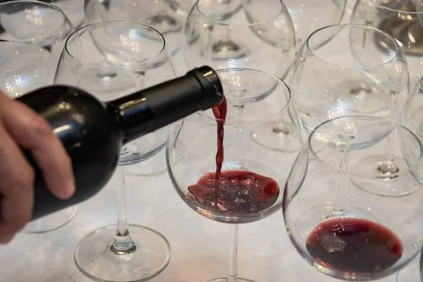 Open bar? Conheça a corrida que te dá vinho durante o percurso no DF