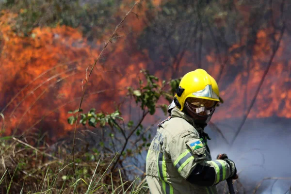 Imagem colorida de bombeiro apagando fogo em Porto Velho, Rondônia - Metrópoles