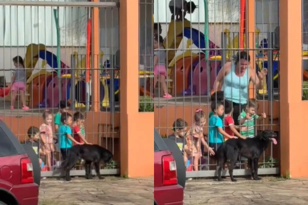 Montagem de duas imagens coloridas de crianças acariciando cães através da grade