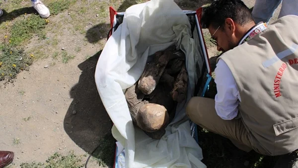 Múmia encontrada dentro de uma mochila térmica de entregas no Peru - Metrópoles