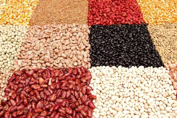 leguminosas
