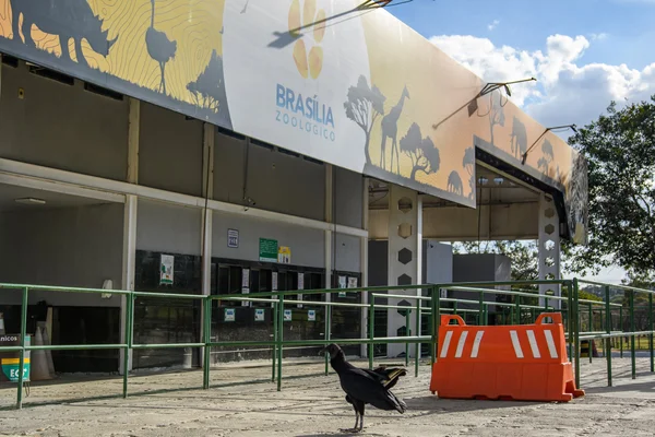Zoológico de Brasília é fechado por suspeita de casos de gripe aviária - metrópoles