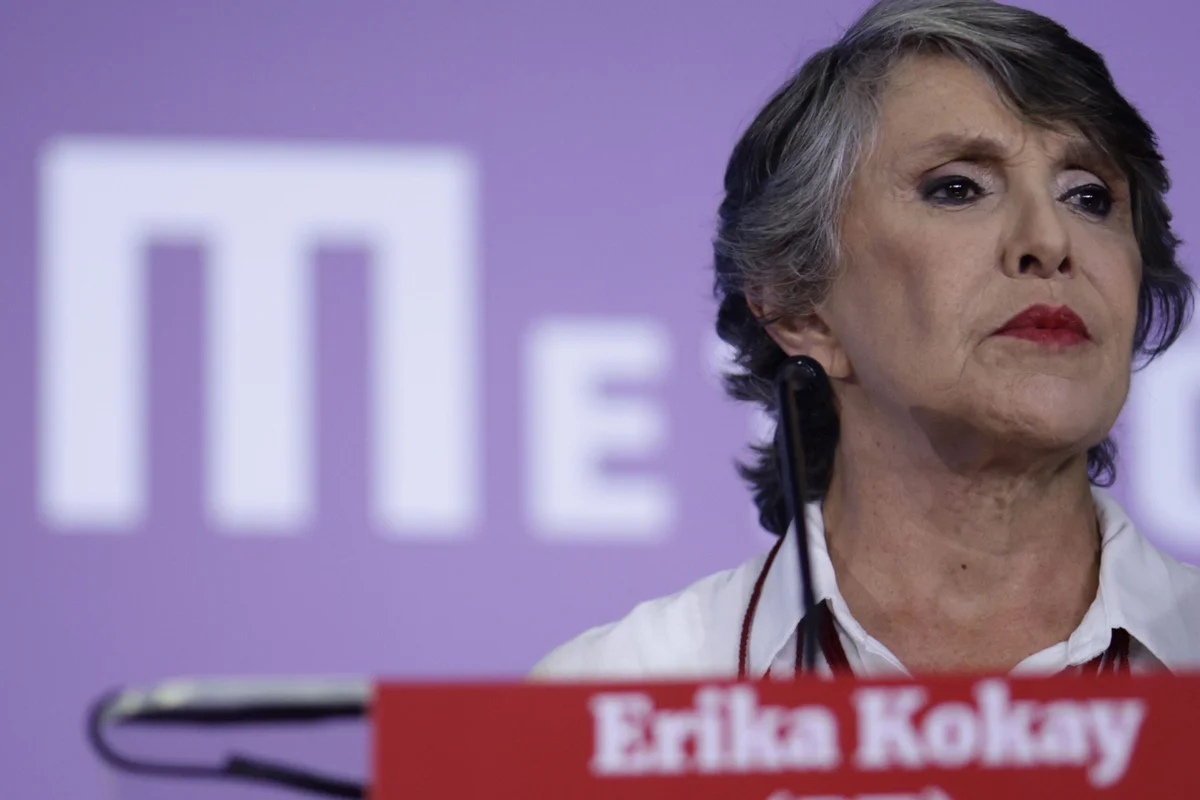 Erika critica parentes como suplentes: “Orçamento público não é doméstico” - imagem 6 Erika critica parentes como suplentes: “Orçamento público não é doméstico” - imagem 6