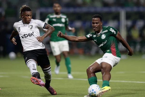Botafogo x Palmeiras opõe crise e liderança no Brasileirão; veja odds