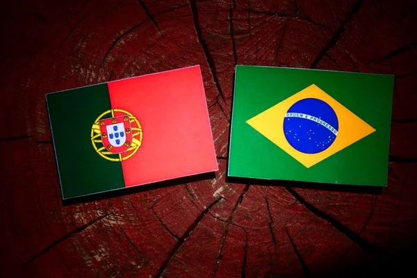 Portugueses de olho nas “novelas e tragédias” da eleição no Brasil