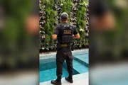 Os fatos investigados podem caracterizar, em tese, os crimes de organização criminosa, fraude à licitação, corrupção, peculato e lavagem de dinheiro