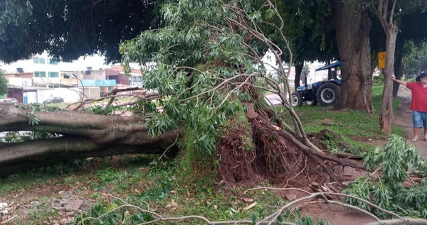 Vídeos. Chuva deixa rastro de destruição no DF. Tem alerta hoje