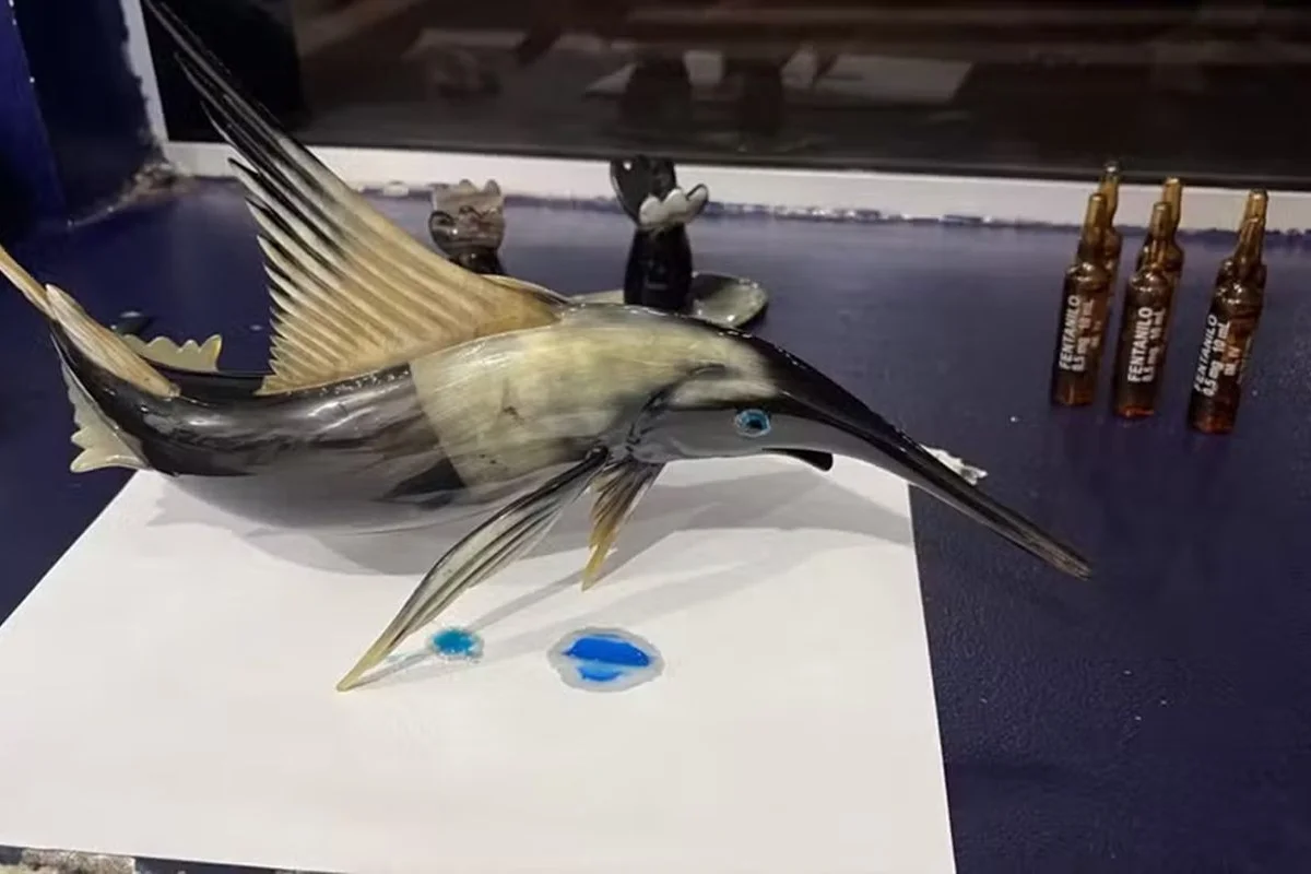 PRF apreende cocaína do Peru camuflada em escultura de peixe a caminho do DF
