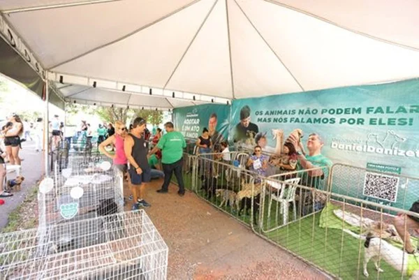 Imagem colorida mostra feira de adoção de pets