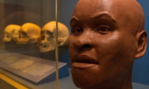 “Luzia morreu”, diz presidente do Iphan sobre fóssil no Museu Nacional