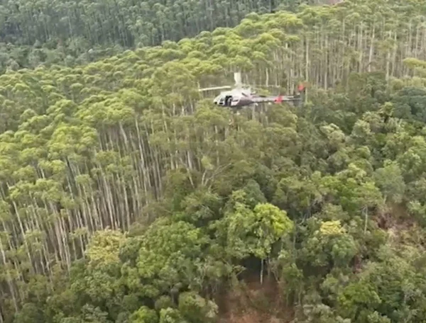 Imagem colorida mostra helicóptero da Polícia Militar (PM) durante as buscas pelos corpos das vítimas do acidente com helicóptero no Vale do Paraíba, em São Paulo