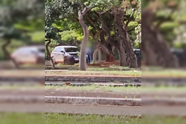 Imagem colorida de homem atrás de árvores