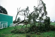 Juventude posta destruição no estádio e CT causados por temporal no RS - imagem 4