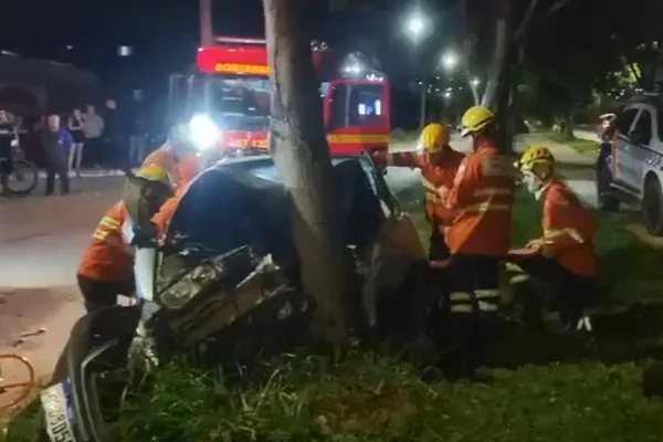 Carro, árvore e bombeiros - Metrópoles