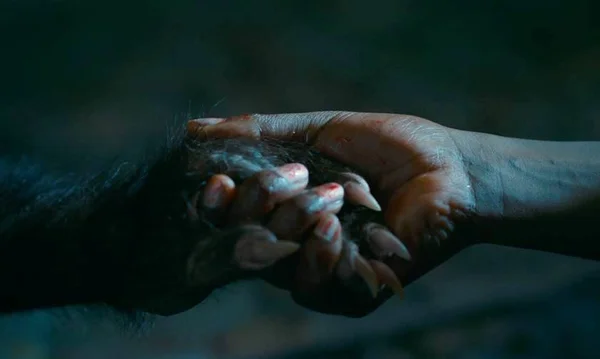 As Boas Maneiras: a hora e a vez dos filmes brasileiros de terror