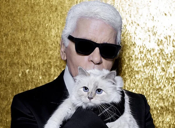 Herdeira! Karl Lagerfeld deixa parte da fortuna para a sua gata