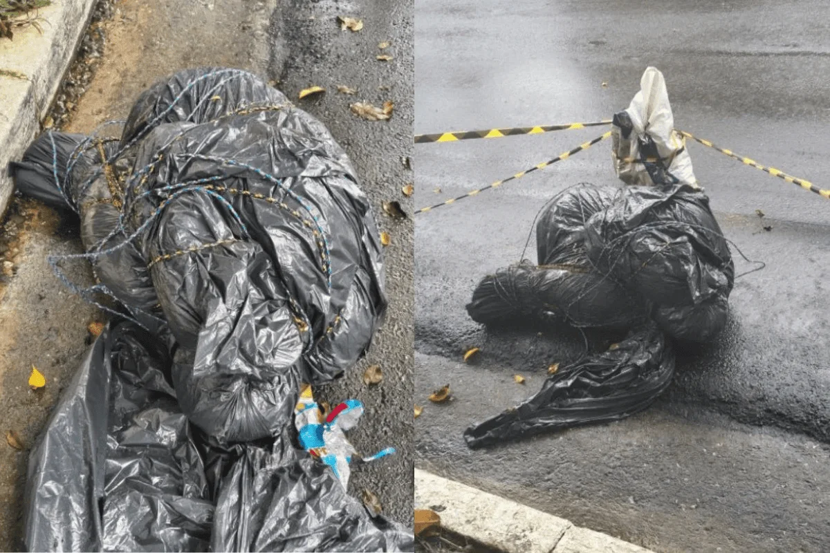 Mapa interativo revela onde foram encontrados corpos em SP. Confira