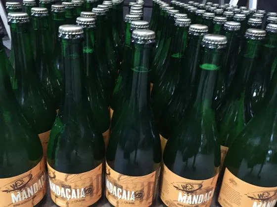 Way Beer lança cerveja com mel de abelha nativa do Brasil