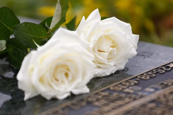 Dia de Finados: flores simbolizam homenagem a entes queridos no Dia de Finados, em Goiânia, Goiás