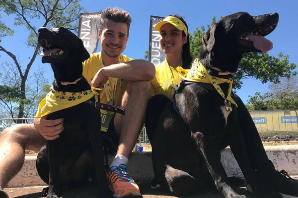 Cães e tutores - Metrópoles