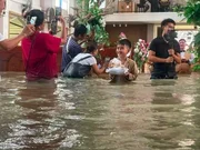 Pajem criança leva as alianças em meio às aguas turvas