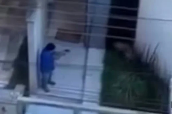 Homem mata cão da família a tiros e é preso com 10 armas de fogo em MG