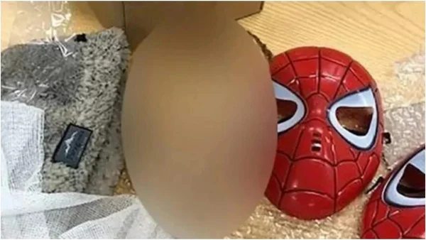 Cabeça decapitada é achada com máscara do homem-aranha na Argentina