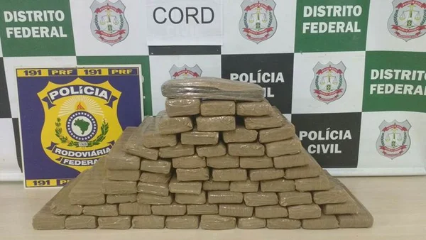 PCDF apreende 60 kg de maconha avaliados em R$ 100 mil na BR-060