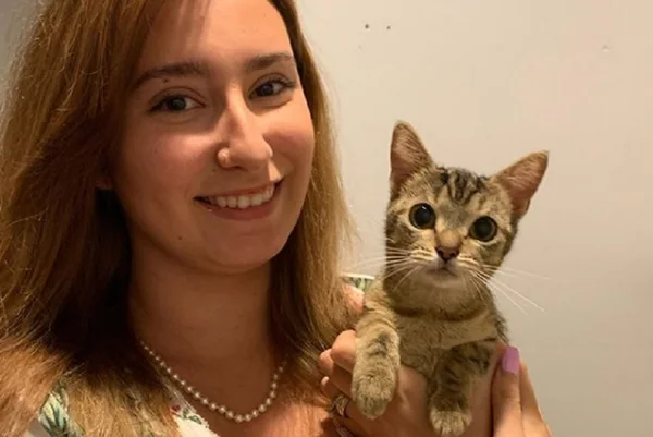 gato é o bicho pets