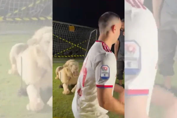 Vídeo: jogador se assusta com rugido de leão em apresentação