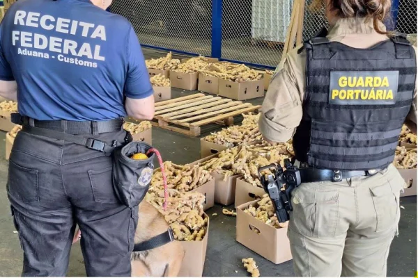 Apreensão de cocaína no Porto de Santos - Metrópoles