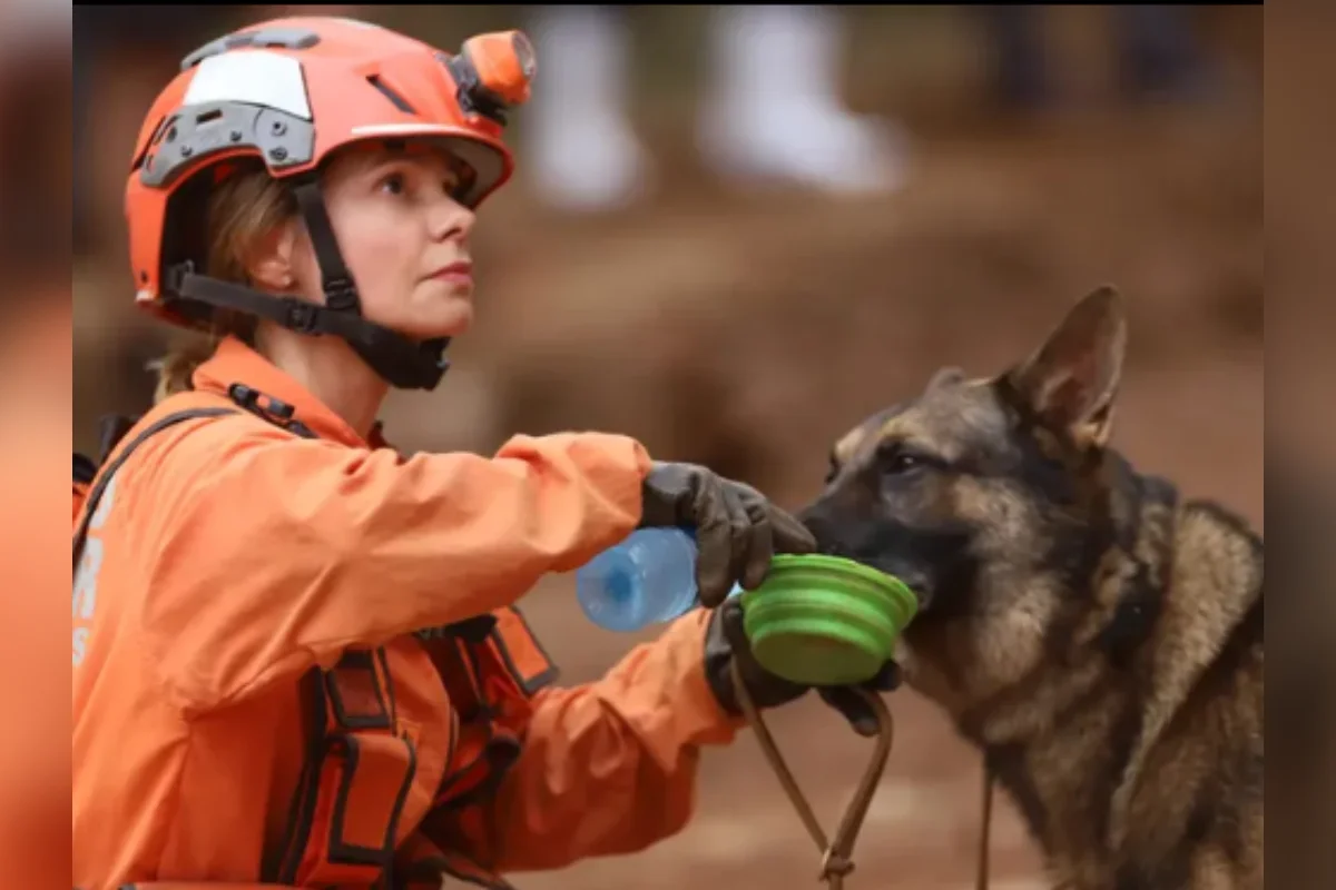 Bombeira e cão de busca retornam ao Brasil após missão na Venezuela Bombeira e cão de busca retornam ao Brasil após missão na Venezuela