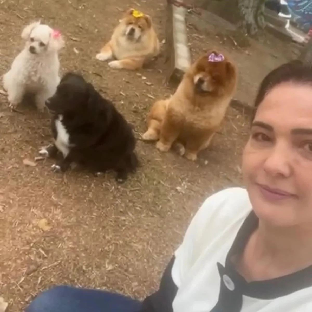 Andreia de Andrade, viúva de Nahim, faz selfie com os pets Andreia de Andrade, viúva de Nahim, faz selfie com os pets