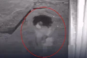 A vítima foi golpeado por ao menos 14 facadas
