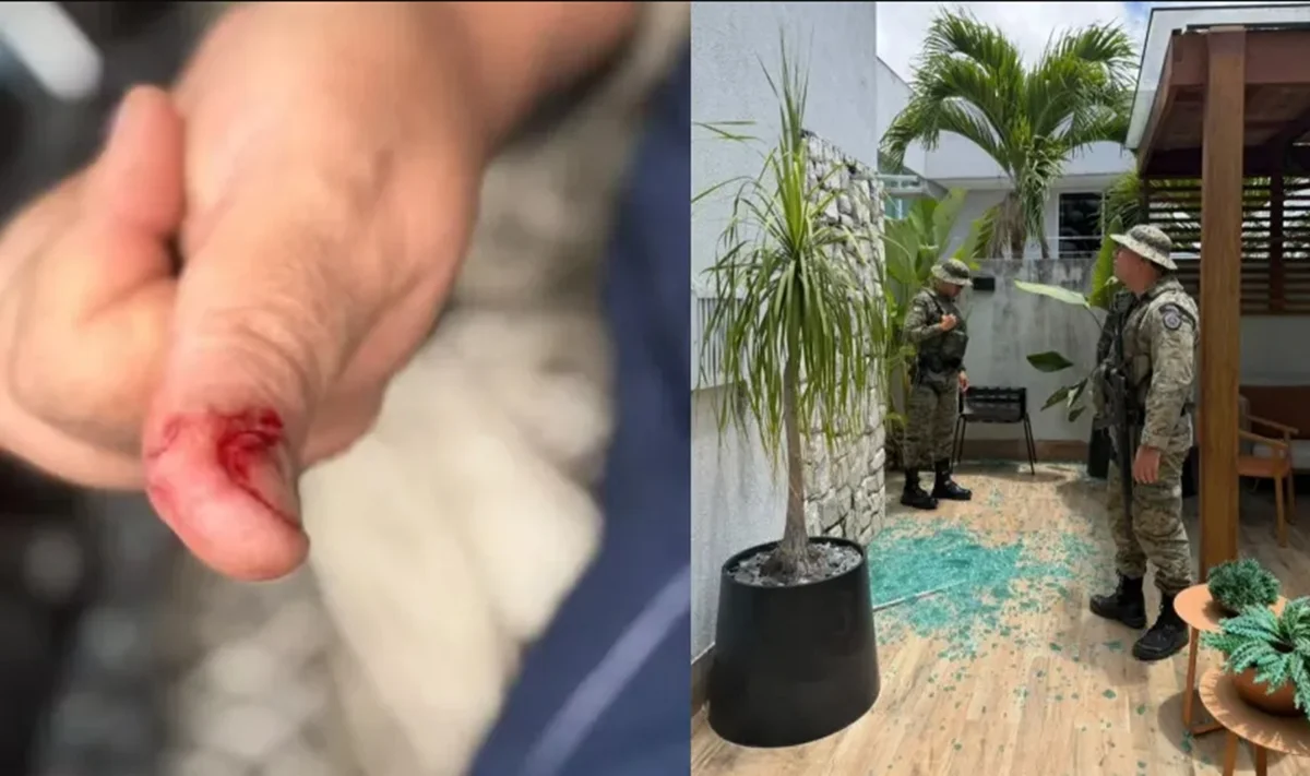 Macaco de ex-deputado foge e causa devassa após beber álcool e remédios
Macaco de ex-deputado foge e causa devassa após beber álcool e remédios